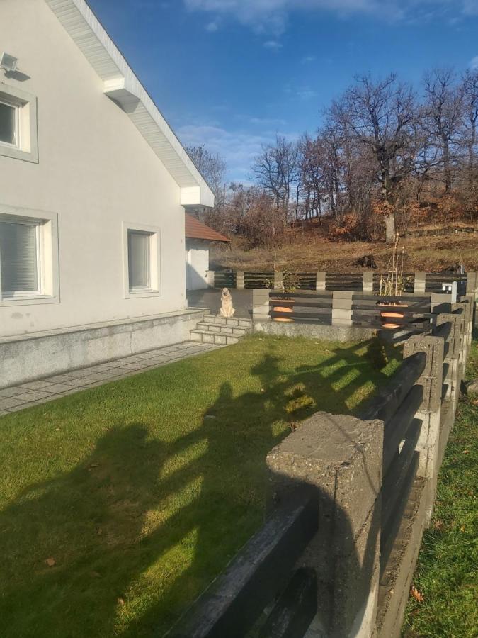 Vila Boba Bor Zlot Kültér fotó