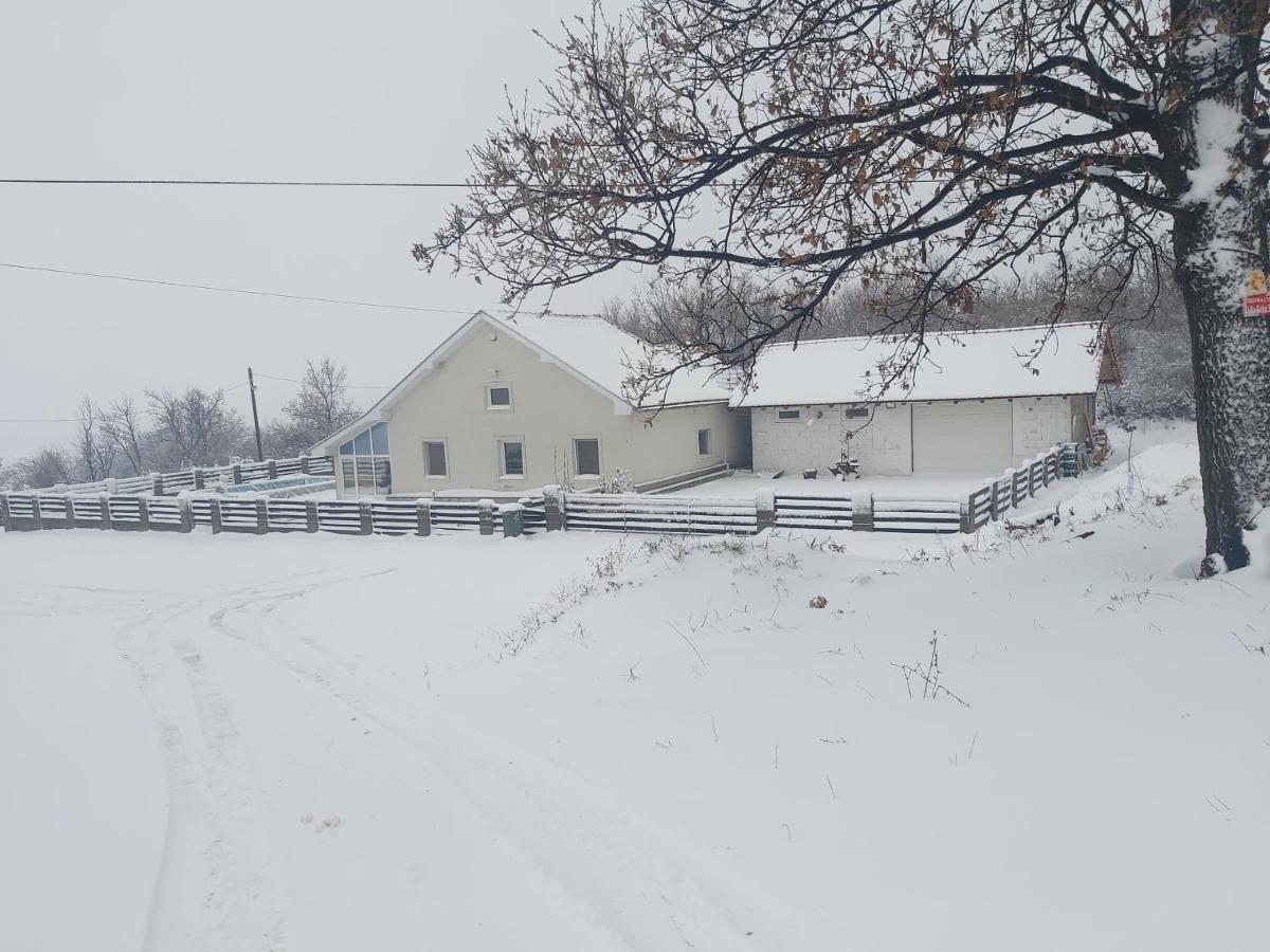 Vila Boba Bor Zlot Kültér fotó