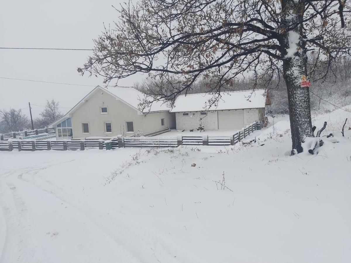 Vila Boba Bor Zlot Kültér fotó