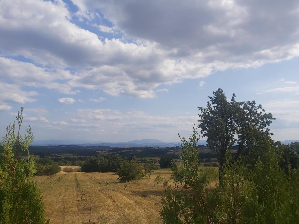 Vila Boba Bor Zlot Kültér fotó