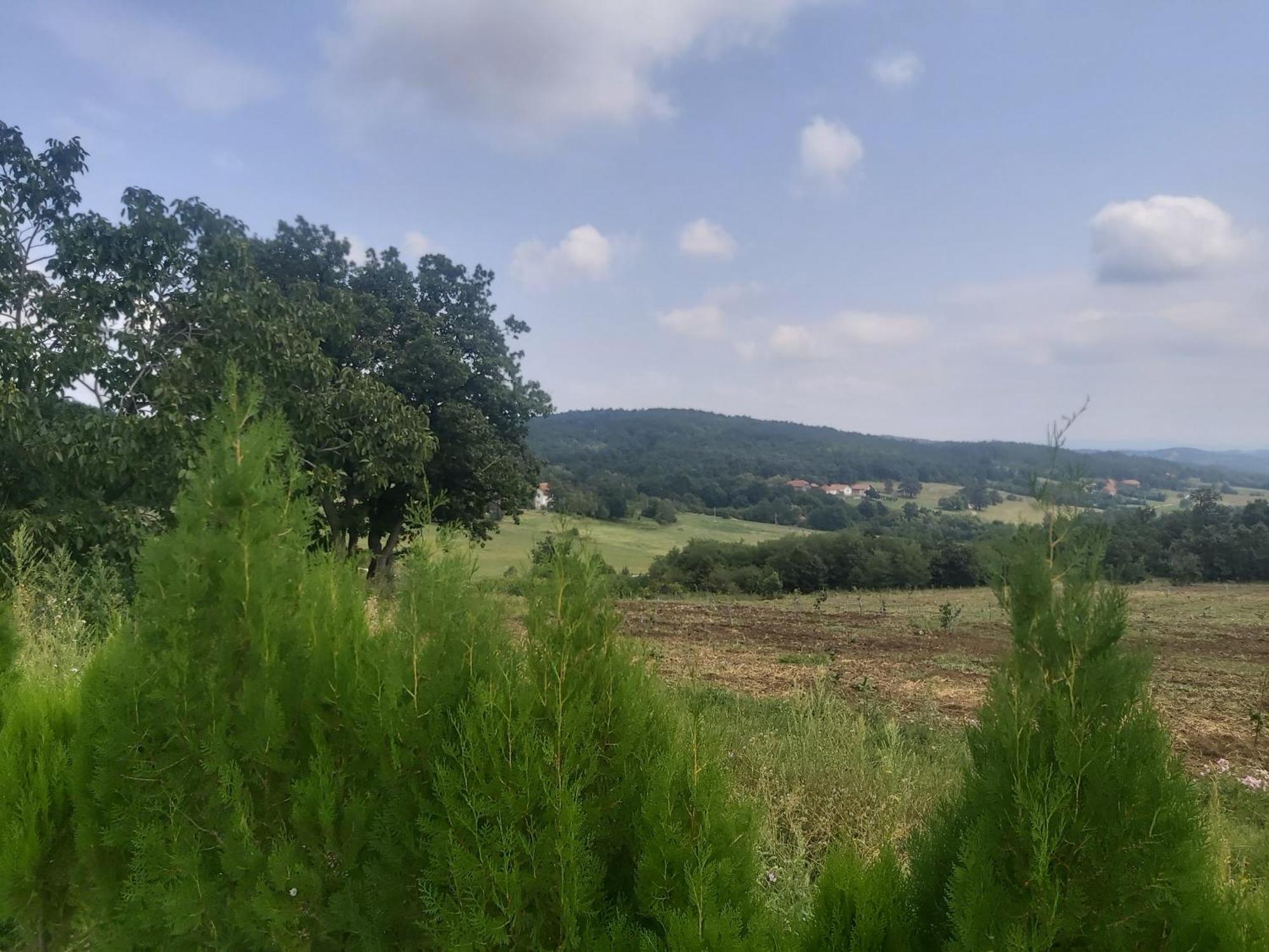 Vila Boba Bor Zlot Szoba fotó